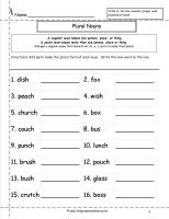 singular and plural nouns worksheet