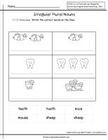 irregular plural nouns worksheet