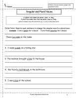 singular and plural nouns worksheet