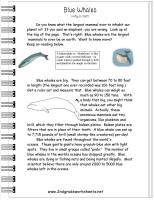 comprehension worksheet